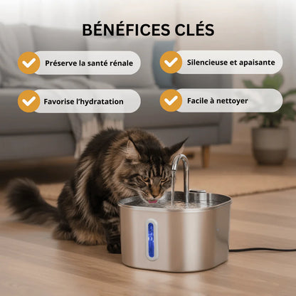 AquaFélin™ – Fontaine à Eau pour Chat
